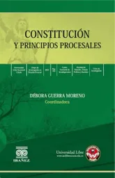 Constitución y Principios Procesales