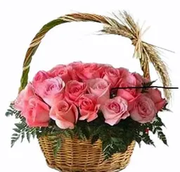 Rosas Rosadas En Canasta De La Abuela