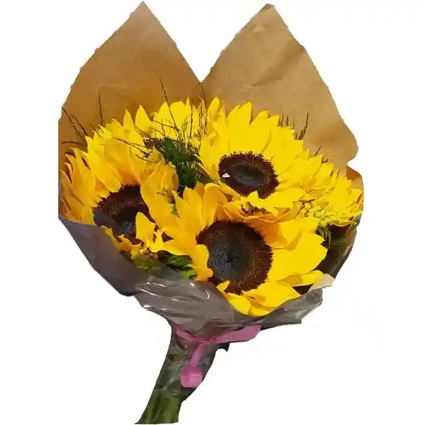 Ramo o bouquet de 8 girasoles