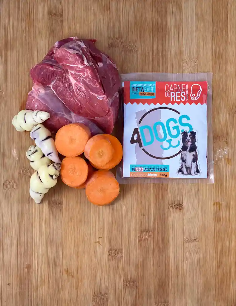 4Dogs carne de res 100g 