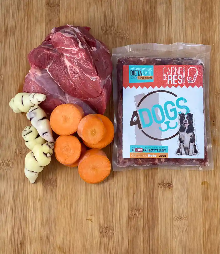 4Dogs carne de res 250g