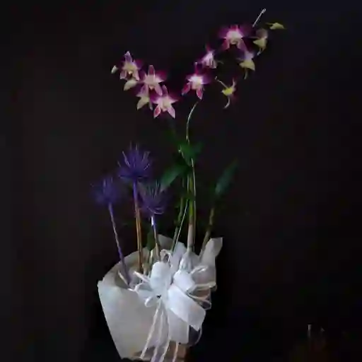 Flores Arreglo De 1 Con Moño Y Empaque Perfecto Para Regalo