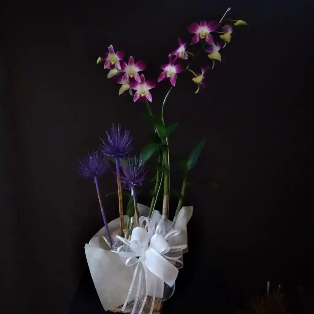 Flores Arreglo De 1 Con Moño Y Empaque Perfecto Para Regalo