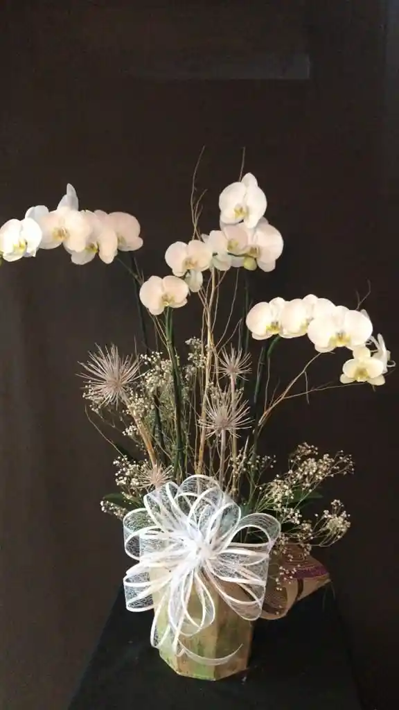 Orquideas en base de Madera empacada para Regalo con Moño