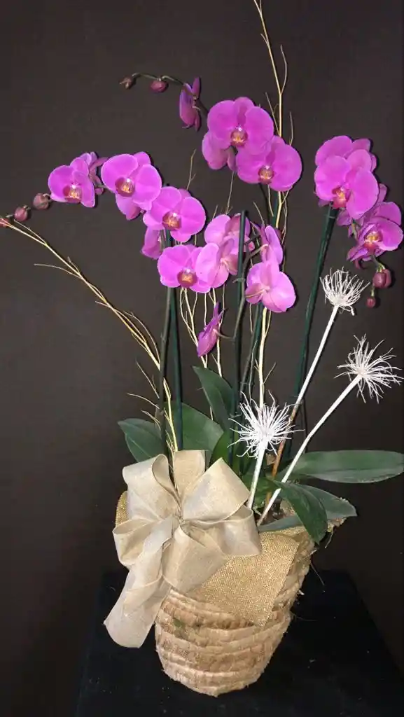 Orquidea Decorada Para Regalo