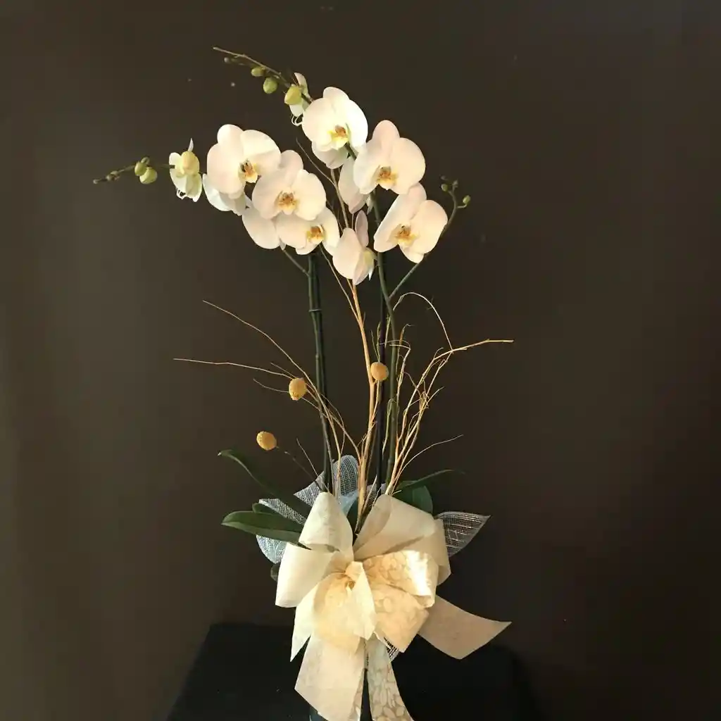 Orquídea decorada con Moño para Regalo 1