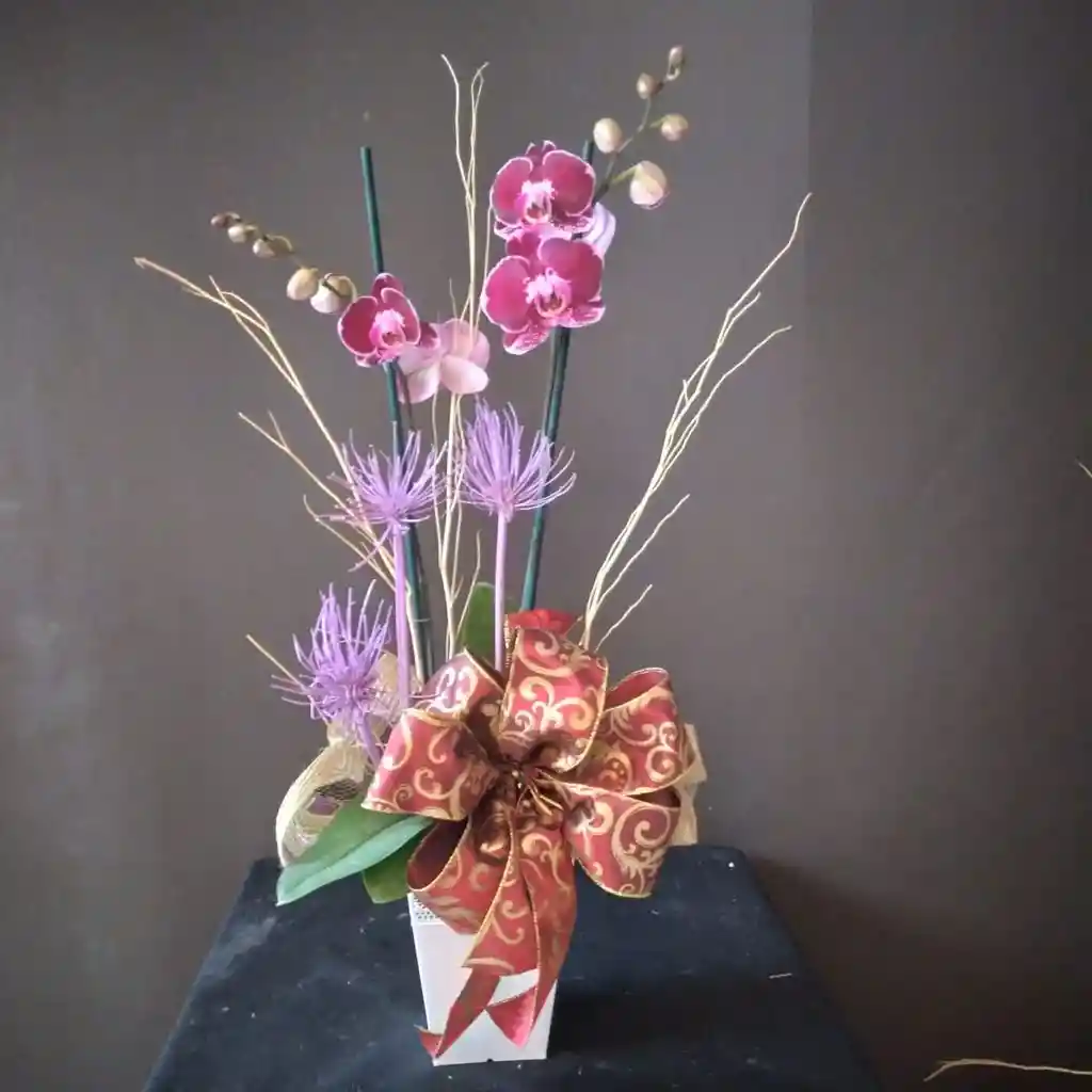 Orquídea decorada con Moño para Regalo