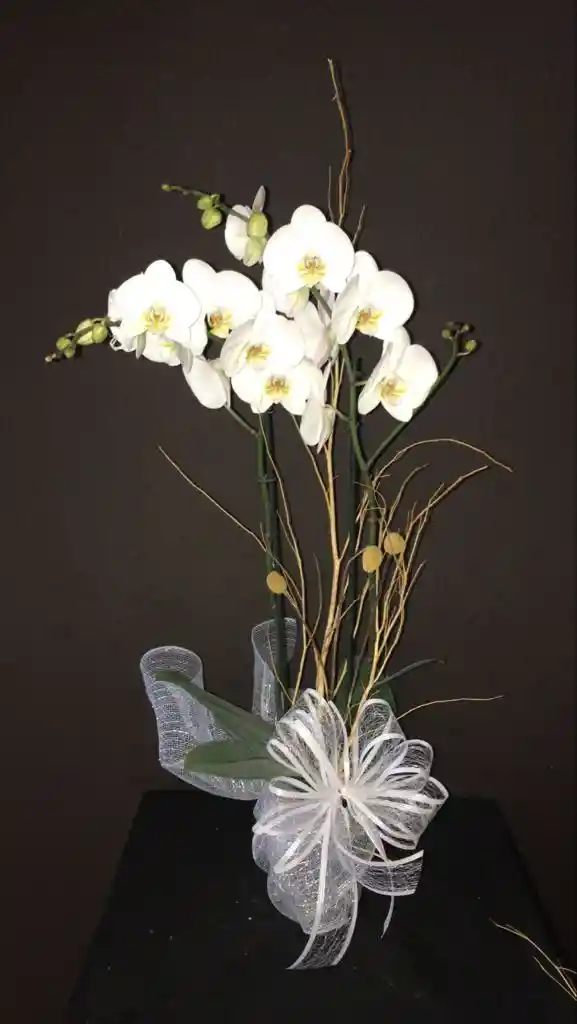 Orquídea decorada para Regalo 3