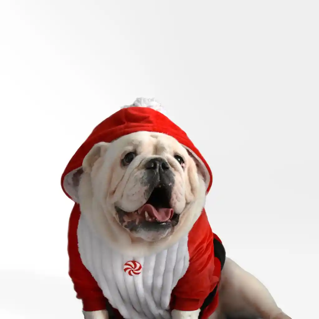 Hoodie Santa Claus 2XS