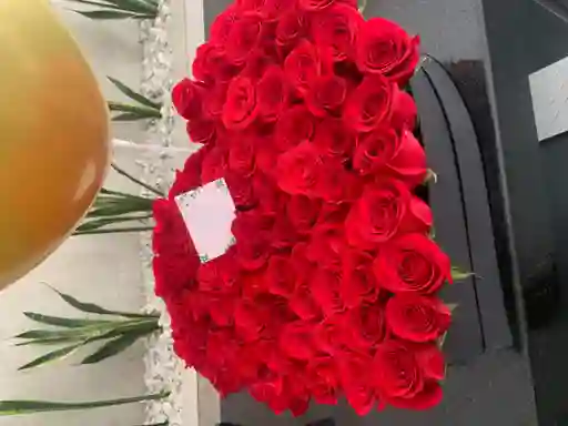 bouquet jumbo 85 rosas rojas 