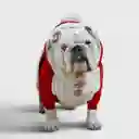 Hoodie Santa Claus S