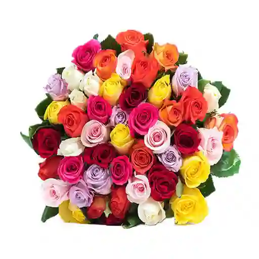 Bouquet x 50 Rosas surtidas