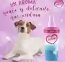  CanAmor Perfume LocióN Para Perros Y Gatos 120Ml 