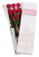 Rosas X 8 En Caja Rosada + Vela Don Eloy