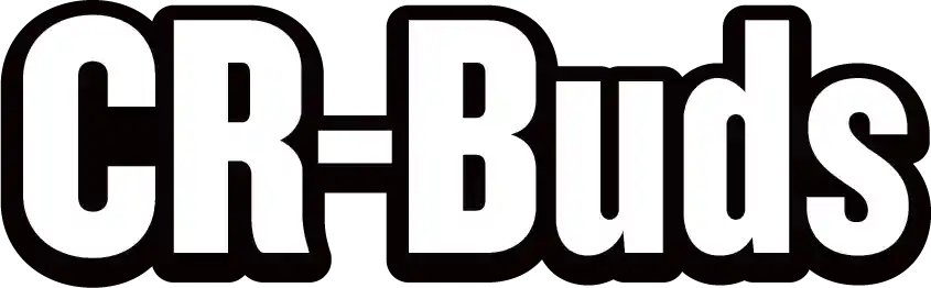 Audifono CR-Buds