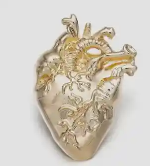  Pinest  Corazón Anatómico