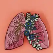  Pinest  Pulmones Florero