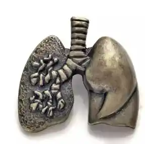  Pinest  Pulmones Grises