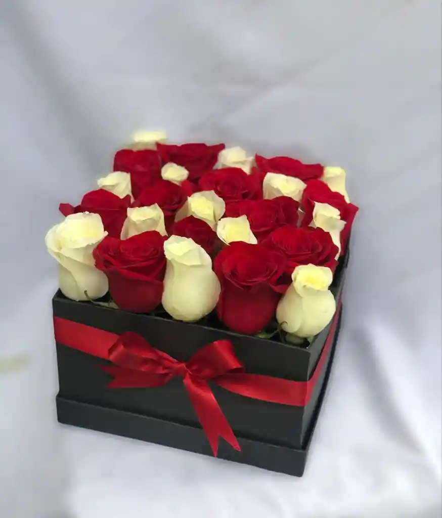 Caja Cuadrada de Lujo 24 Rosas con Dos Tonos Blancas y Rojas