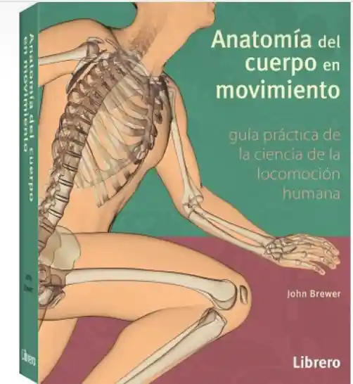 Anatomía del cuerpo en movimiento