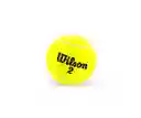 Wilson Pelotas De Tenis Tapa Roja Bolas X 3 Extra Duty