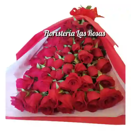 Rosas Rojas X 48 🌹