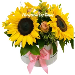 Girasoles En Caja Redonda
