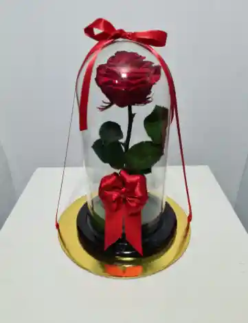 Rosa Preservada Roja