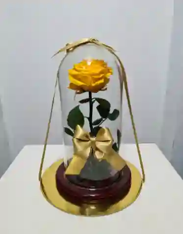 Rosa Preservada Amarilla 