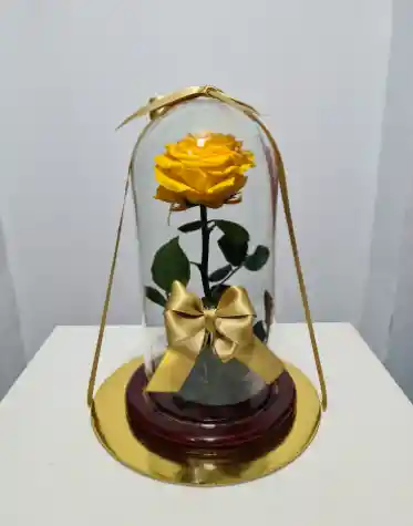 Rosa Preservada Amarilla 