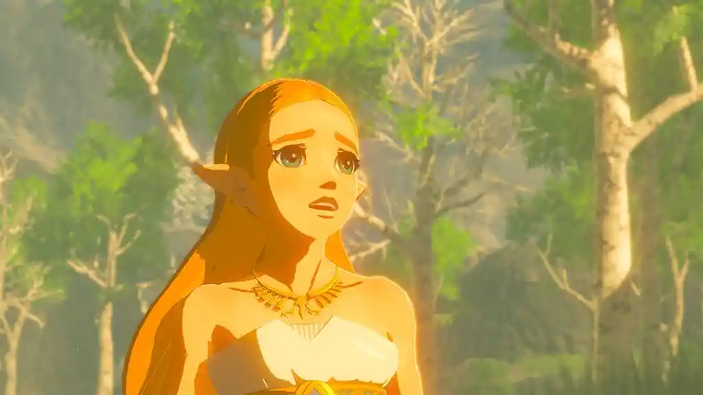 Nintendo Switch The Legend Of Zelda : Breath Of The Wild -