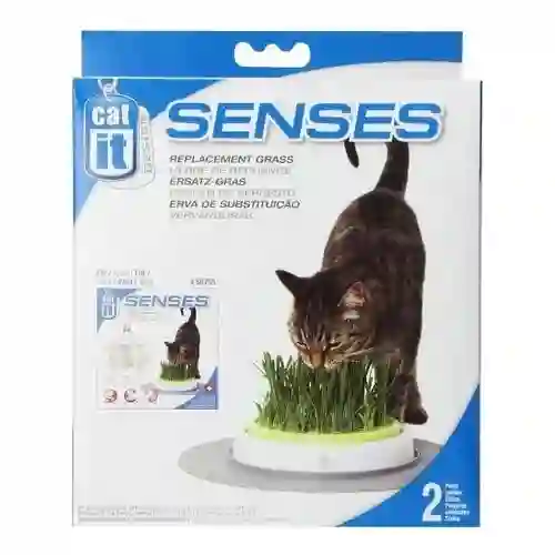 Cat It Senses Semillas de Hierva Gatuna