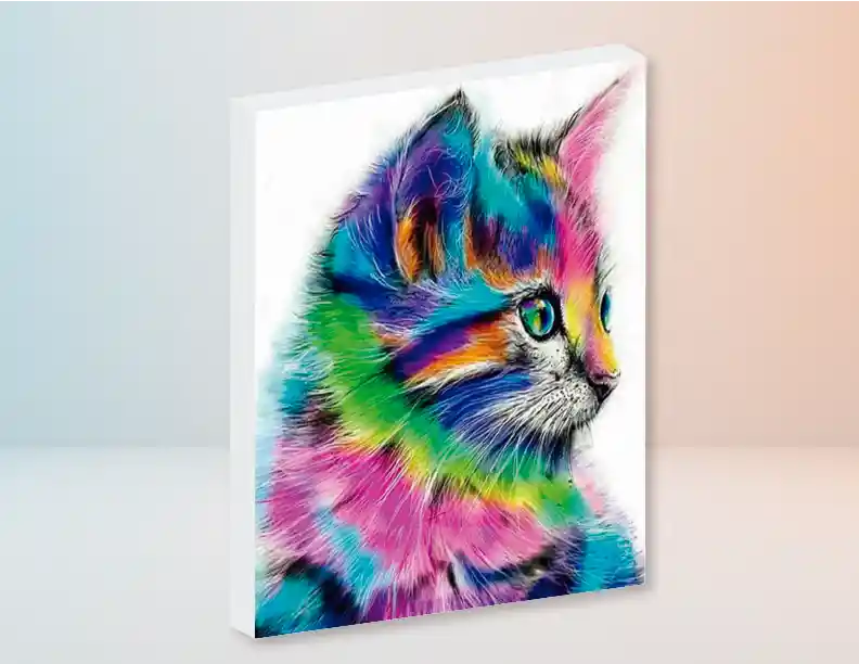 Gato Pelo Colores - Kit de Pintar Por Números