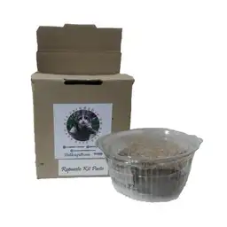 Kit Saludable Pasto Gatuno Repuesto