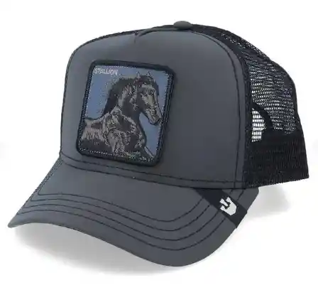 Gorra Goorin Bros Stallion Reflectiva