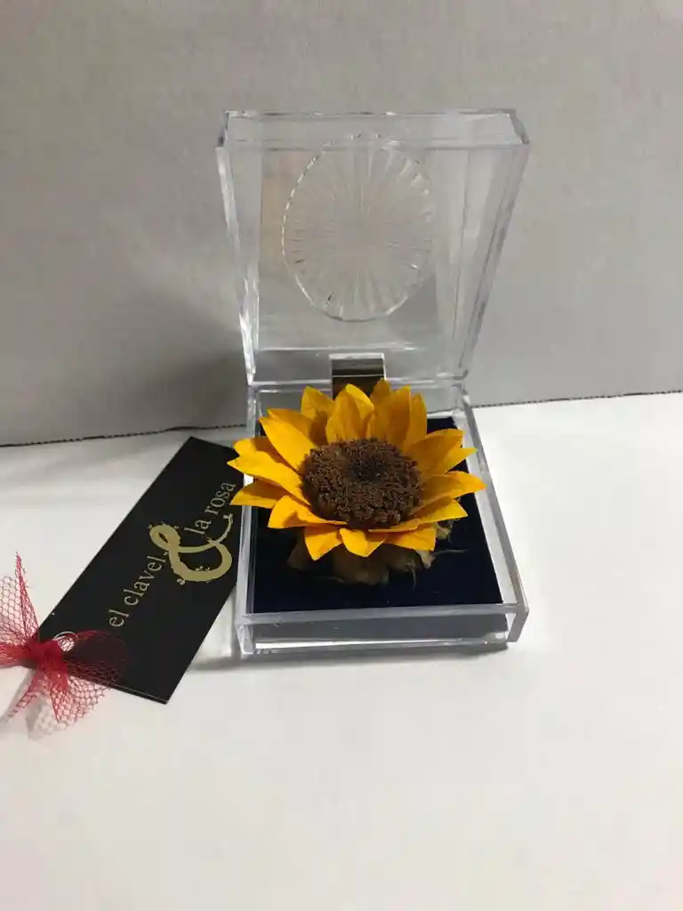 Girasol pequeño en caja de acrílico 