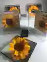 Girasol pequeño en caja de acrílico 