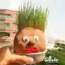 Kit cabeza de pasto - EcoMuñeco