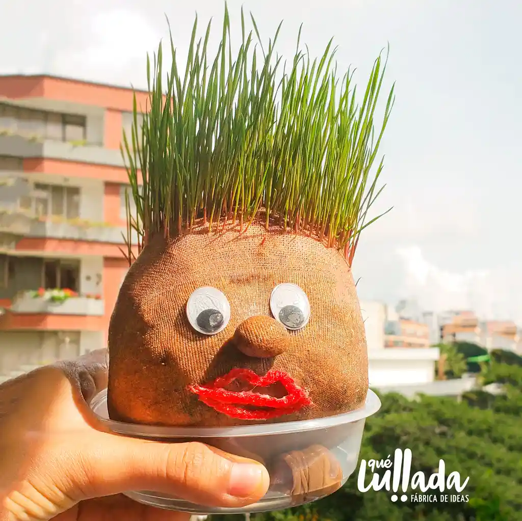 Kit cabeza de pasto - EcoMuñeco