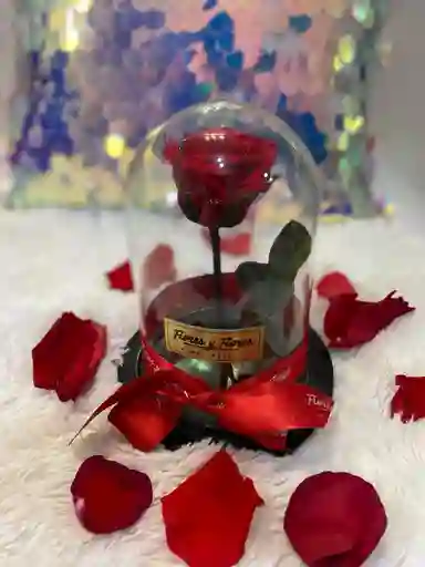 Rosa Preservada Mini