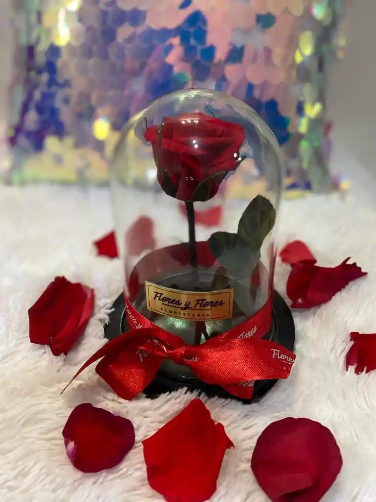 Rosa Preservada Mini