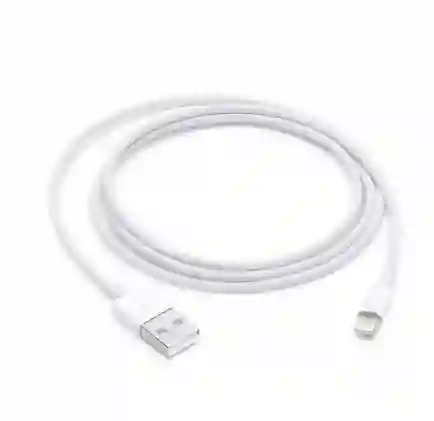 Apple Cable De Conector Lightning A Usb (1 M)