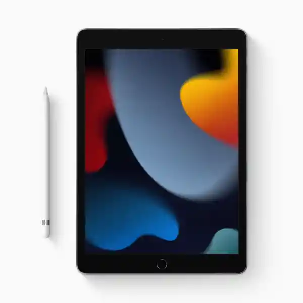 iPad Wi-Fi 10.2-Inch 64Gb Space Grey