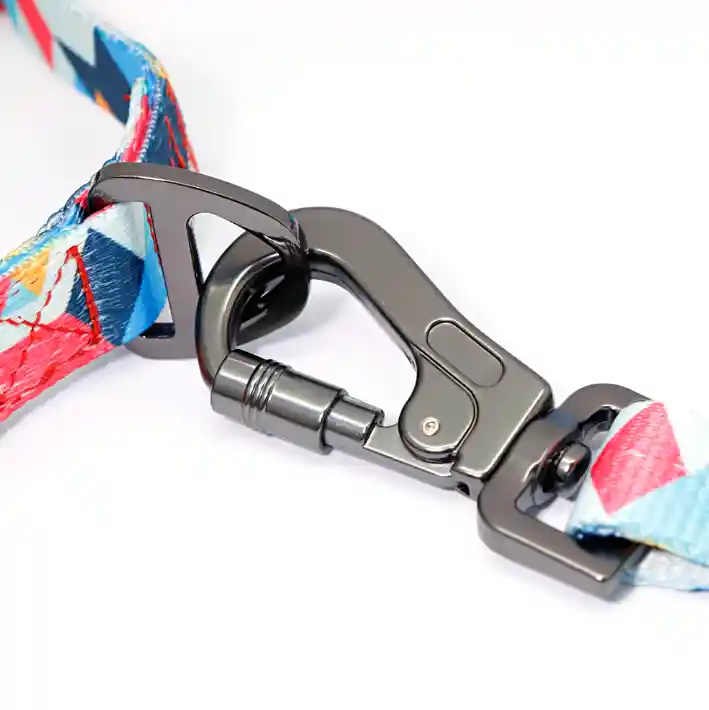  Correa Y Collar Acolchado Con Hebilla De Seguridad  (TALLA S)