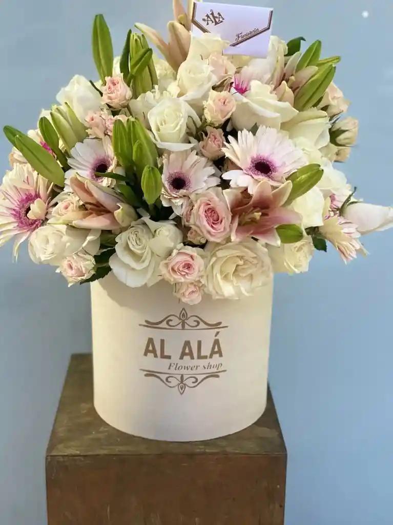 Flores Big Box Allegra
