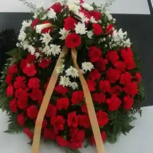 Aro de clavel y rosas rojas