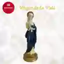 VIRGEN DE LA VIDA CRM