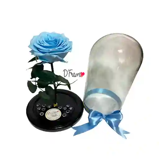 Rosa Eterna Cielito