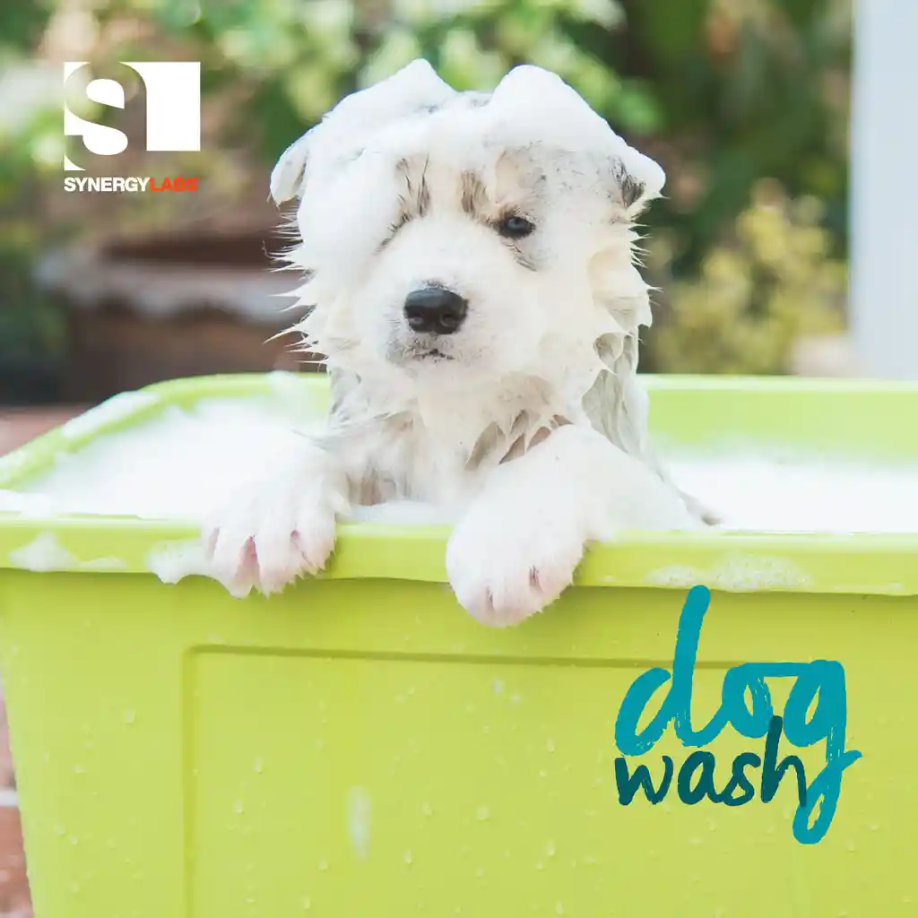 Dog Wash Shampoo para Animales Ultra Blanco