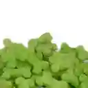Natural Galleta De Menta Y Fibra (Reduce El Mal Aliento) 80 Gr